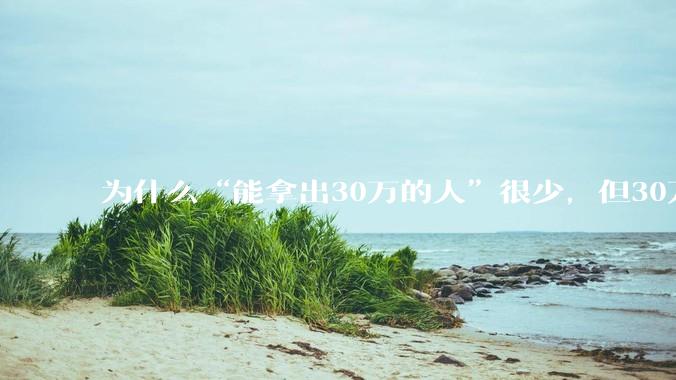 为什么“能拿出30万的人”很少，但30万的车满大街都是？