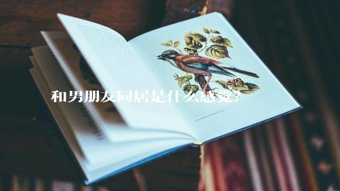 和男朋友同居是什么感觉？